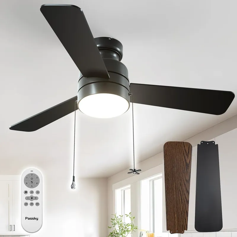 Passky Ceiling Fans with Lights, 42 inch